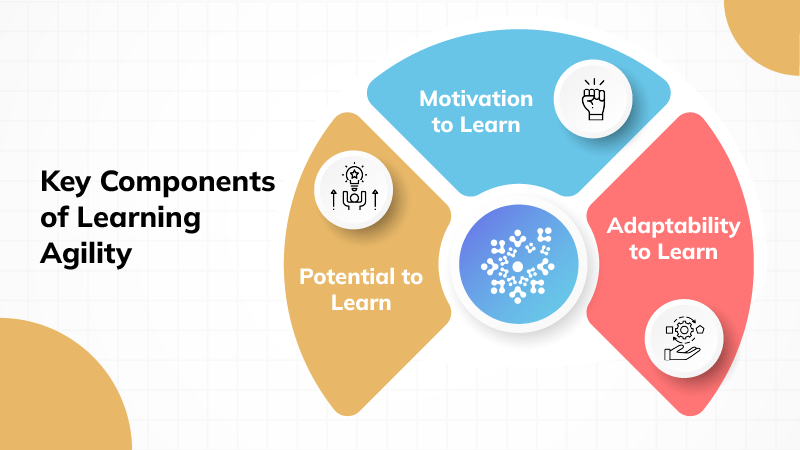 Essential Components of Learning Agility