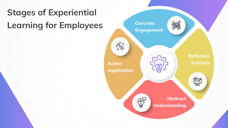 Stages of Experiential Learning for Employees