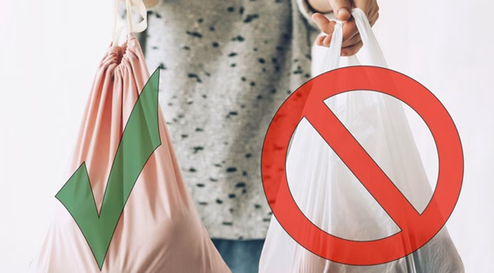 reducing-plastic-learning-and-development